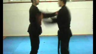 KO AI RYU BU JUTSU  Taijutsu Jujutsu Kumiuchi Gatame waza  Grappling  prese [upl. by Stargell861]