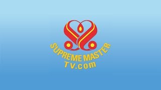 SupremeMasterTV Live 🎦 [upl. by Adirehs]