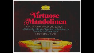 Virtuose Mandolinen  Das Saarländische Zupforchester Ltg Siegfried Behrend 1971 [upl. by Enale]