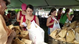 Lake Placid Caladium Festival 2017 [upl. by August]