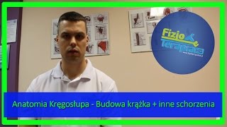 Anatomia Kręgosłupa  Budowa krążka  inne schorzenia 7 FizjoTerapia HD [upl. by Llerej]