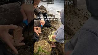 3yr old encounters 1st fresh caught raw scallops then… seafood dadlife freediver scallops [upl. by Dielle]