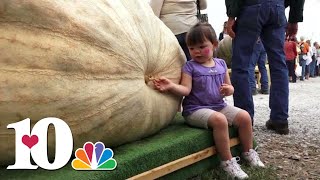 Allardt Pumpkin Festival brings out big competition 2017 [upl. by Heiner596]