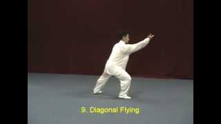 Tai Chi Yang Style 40 demonstration [upl. by Ciryl]