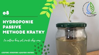 La méthode hydroponique Kratky [upl. by Selmore474]