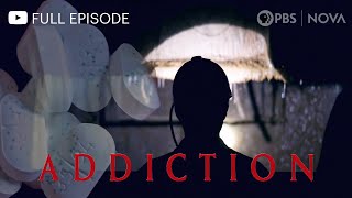 Addiction I Full Documentary I NOVA I PBS [upl. by Starobin]