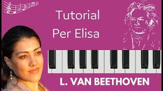 Tutorial Per Elisa di Beethoven [upl. by Ahsatniuq]