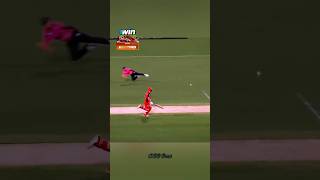 Direct Hit in Cricket History 💥 cricket shorts [upl. by Noraj890]