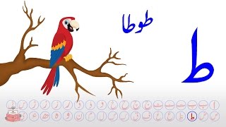 Toe  Toe Song  Toe Phonics  Alif Bay  Haroof e Tahajji  Aasaan Urdu [upl. by Ativahs]