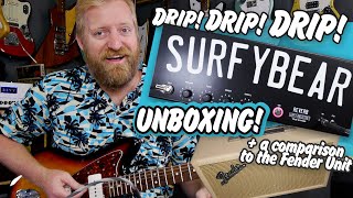 DRIP DRIP DRIP Unboxing the Surfy Bear spring reverb  comparing it to a Fender 6g15 outboard unit [upl. by Nosned]