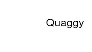 How to pronounce Quaggy [upl. by Rockwell]