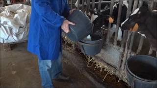 MILK PASTEURIZER FOR CALVES [upl. by Leduar]