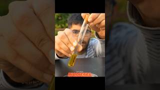 I Tested Algae Biodiesel and Heres Whats Best for the Environment [upl. by Ahsaet]