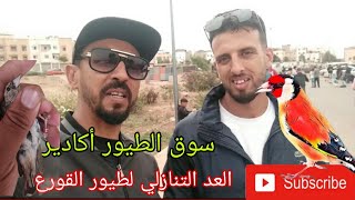 سوق الطيور أكادير ليوم الأحد 1sepالتعرف على الجديد حصريآ على قناتكم 💥 👌 [upl. by Yblocaj684]