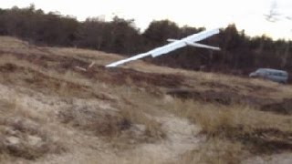 Mega crash with huge RC glider [upl. by Olocin106]