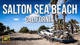 Do You Want To Visit Salton Sea Beach  Salton Sea Today [upl. by Meara212]