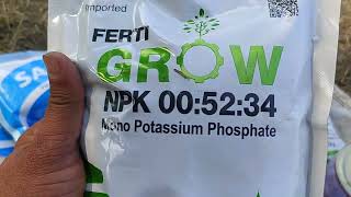 संतरे की फसल में ये करें स्प्रे साइज होगी शानदार । Fertilizer n insecticide spray in Orange farming [upl. by Nojel]