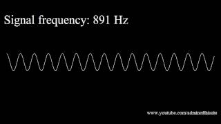 20Hz to 20kHz Human Audio Spectrum [upl. by Obara986]