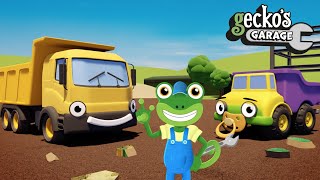 Daisy And Dylan The Dump Trucks  Construction Vehicles For Kids  Geckos Garage  Trucks For Kids [upl. by Herm]