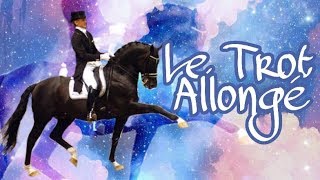 TUTO COMMENT faire et améliorer un TROT ALLONGE [upl. by Llirred446]