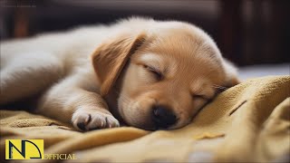 20 HOURS of Dog Calming Music For Dogs🎵🐶Anti Separation Anxiety Relief🐶💖dog relaxation🎵 NadanMusic [upl. by Tudela279]