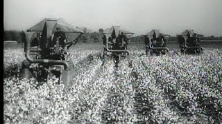 HD Historic Archival Stock Footage Cotton Picking Machines [upl. by Dimitris]