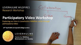 Using participatory video to explore our time in the Leverhulme Centre for Wildfires [upl. by Louls]