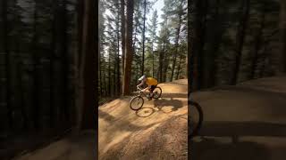 Christchurch Adventure park Chill Laps mtb downhill whip bikelife enduro specialized [upl. by Simara]