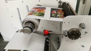 Color DLP VP320 DIGITAL LABEL PRINTING MACHINE [upl. by Derick]