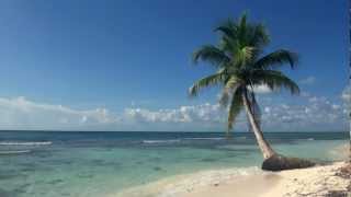 Relaxing 3 Hour Video of A Tropical Beach with Blue Sky White Sand and Palm Tree [upl. by Haraj]