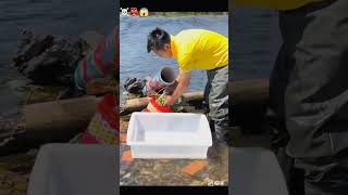 নৌকা নিয়ে নদীতে এসে অসংখ্য মাছ ধরিI came to the river with a boat and caught a lot of fish shorts [upl. by Alisa]