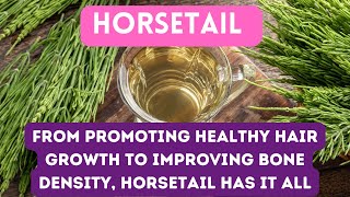 HORSETAIL  11 AMAZING BENEFITS THAT WILL TRANSFORM YOUR HEALTH [upl. by Hamon]