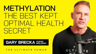 Methylation  The Best Kept Optimal Health Secret [upl. by Aiker]