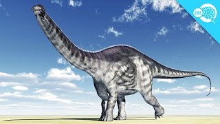 Did The Brontosaurus Exist [upl. by Enyamart]