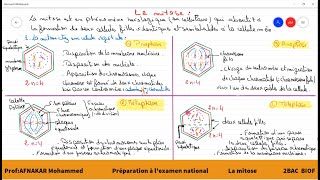 2 La mitose 2BAC PCSVT1BAC SM [upl. by Taka]