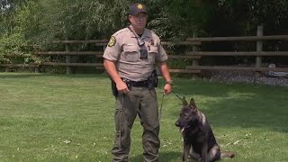 A Deputy and his Dog  Behind the Badge with Johnson and Okar [upl. by Eneri701]