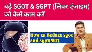 sgpt sgot treatment in hindi  fatty liver treatment  sgpt sgot test in hindi [upl. by Fortna]