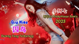 å°é˜¿ä¸ƒ  å›šé¸Ÿ  Qiu Niao  DjSjun FunkyHouse Remix 2023  Burung Yang Terkurung djæŠ–éŸ³ç‰ˆ2023 [upl. by Ahsiemaj538]