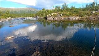 8 dagars flugfiske i arjeplogsfjällen [upl. by Alolomo]