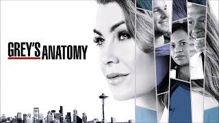 Luca Fogale  I Dont Want to Lose You Audio GREYS ANATOMY  14X15  SOUNDTRACK [upl. by Ainafetse171]