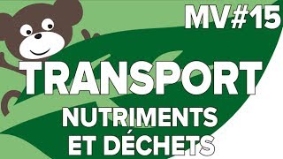 Transporter Nutriments et Déchets MV15SVT CollègeMathrix [upl. by Jet]