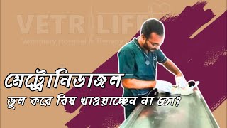 বিড়ালকে ভুল করে বিষ খাওয়াচ্ছেন না তো । Do You not Inadvertently Feed Poison to Your Cat  Vetrilife [upl. by Llehcam]