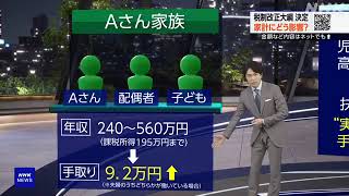 税制改正大綱を決定 所得税定額減税の制度設計など 自公両党 [upl. by Tareyn277]