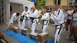 TaekwonDo Academy Slovakia  Šaliansky jarmok 2024 [upl. by Eleinad]