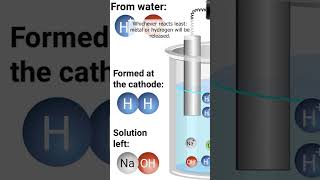 Electrolysis Opera  Lyric Video science chemistry electrolysis [upl. by Kin367]