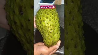 Lakshman phala  Miracle Fruit  sour sop fruit  shorts [upl. by Ilesara84]