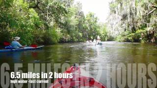 Lithia Springs to Alafia Boat Ramp [upl. by Ariaes]