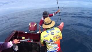 Large Mouth Nannygai Johnny Mitchell Fishing Charters Off Gladstone Queensland Central QLD [upl. by Hessler]