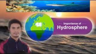 Importance Of Hydrosphere  Hydrosphere [upl. by Lohcin]