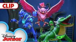 Slow and Sneaky  PJ Masks  disneyjunior [upl. by Linnie]